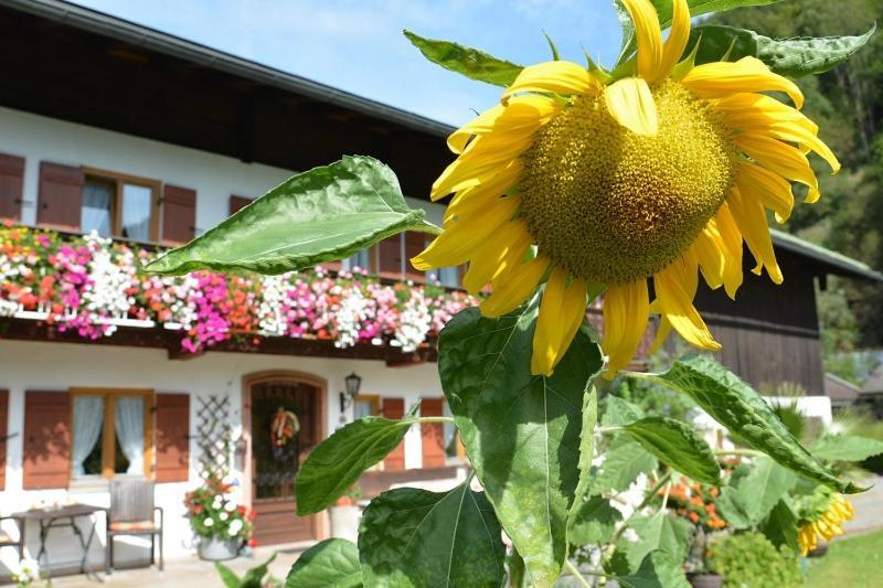 מלון Ramsau bei Berchtesgaden Haus Jagerer מראה חיצוני תמונה